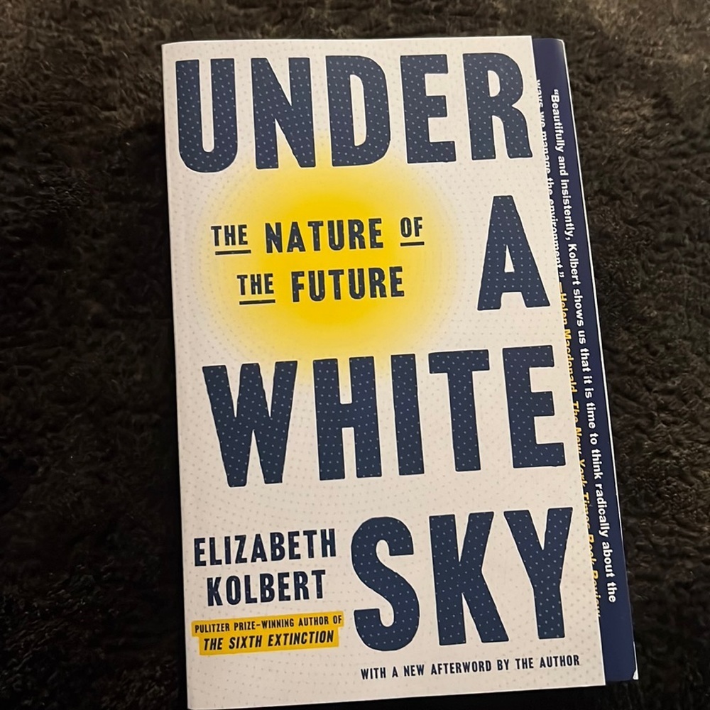Under a white sky book